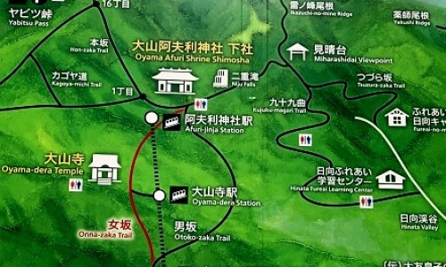 大蓟的功效与作用有哪些-权威大蓟的功效与作用是什么平台,分享专业大蓟功效主治是什么知识_大蓟功效主治网