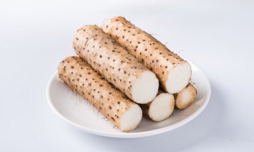 大蓟功效主治视频-权威大蓟的功效与作用是什么平台,分享专业大蓟功效主治是什么知识_大蓟功效主治网