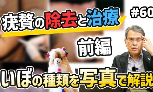 大蓟的功效与作用主治-权威大蓟的功效与作用是什么平台,分享专业大蓟功效主治是什么知识_大蓟功效主治网